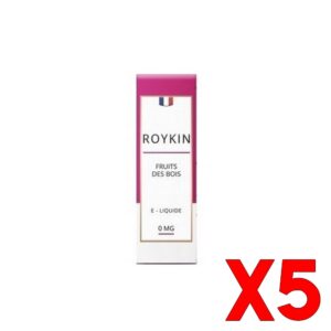 E LIQUIDE ROYKIN 5050 FRUIT DES BOIS X05
