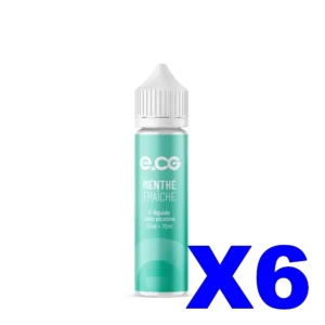 E LIQUIDE E CG LES INCONTOURNABLES 50ML 50 50 MENTHE FRAICHE X6 Taux de nicotine 0