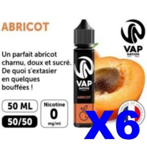 E LIQUIDE VAP NATION 50ML ABRICOT X06