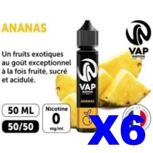 E LIQUIDE VAP NATION 50ML ANANAS X06