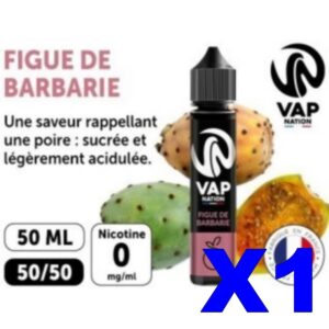 E LIQUIDE VAP NATION 50ML FIGUE DE BARBARIE X01