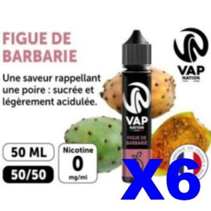 E LIQUIDE VAP NATION 50ML FIGUE DE BARBARIE X06