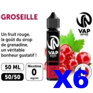 E LIQUIDE VAP NATION 50ML GROSEILLE X06