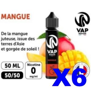 E LIQUIDE VAP NATION 50ML MANGUE X06
