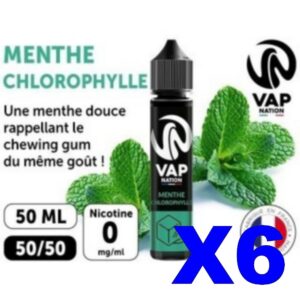 E LIQUIDE VAP NATION 50ML MENTHE CHLOROPHYLLE X06