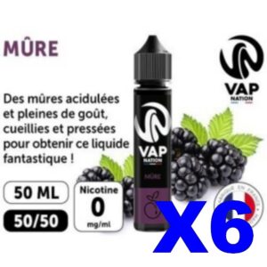 E LIQUIDE VAP NATION 50ML MURE X06