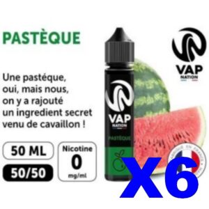 E LIQUIDE VAP NATION 50ML PASTEQUE X06
