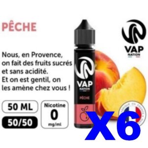E LIQUIDE VAP NATION 50ML PECHE X06