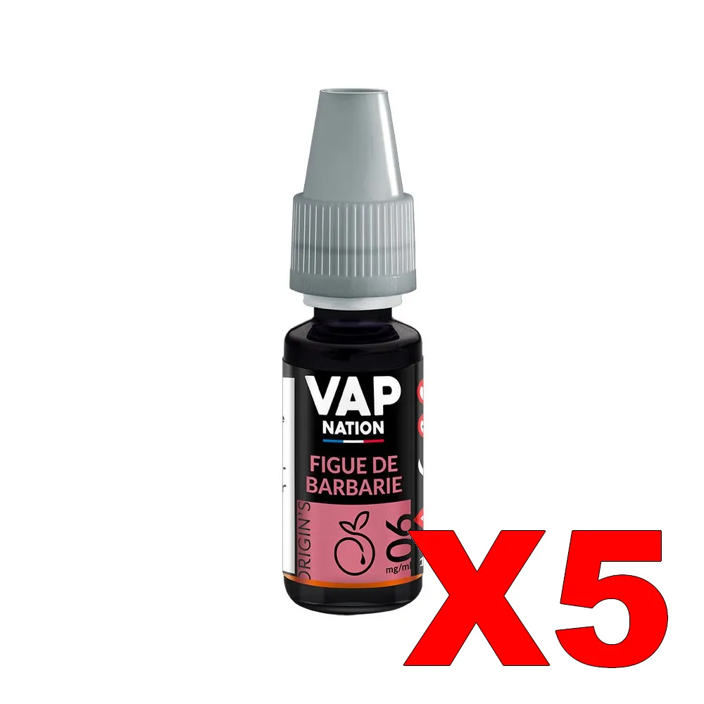 E-LIQUIDE VAP-NATION ORIGINS 10ML 50-50 FIGUE-DE-BARBARIE X5 3 E LIQUIDE VAP NATION ORIGINS 10ML 50 50 FIGUE DE BARBARIE X5 Taux de nicotine 6