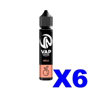 E LIQUIDE VAP NATION ORIGINS 50ML 50 50 NEFLE X6 Taux de nicotine 0